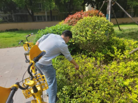 以劳育德，以行践知——永利官网开展《劳动教育》课程实践活动