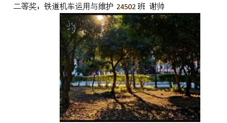 青春光影,定格武科职美好瞬间 ——永利皇宫8858官网2026年校园摄影大赛圆满收官 青春光影,定格武科职美好瞬间 ——永利皇宫8858官网2026年校园摄影大赛圆满收官