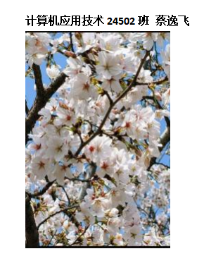 青春光影,定格武科职美好瞬间 ——永利皇宫8858官网2026年校园摄影大赛圆满收官 青春光影,定格武科职美好瞬间 ——永利皇宫8858官网2026年校园摄影大赛圆满收官