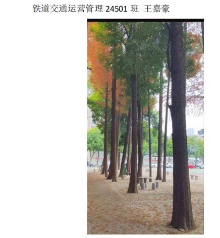 青春光影,定格武科职美好瞬间 ——永利皇宫8858官网2026年校园摄影大赛圆满收官 青春光影,定格武科职美好瞬间 ——永利皇宫8858官网2026年校园摄影大赛圆满收官