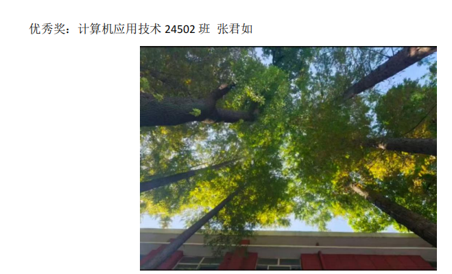 青春光影,定格武科职美好瞬间 ——永利皇宫8858官网2026年校园摄影大赛圆满收官 青春光影,定格武科职美好瞬间 ——永利皇宫8858官网2026年校园摄影大赛圆满收官