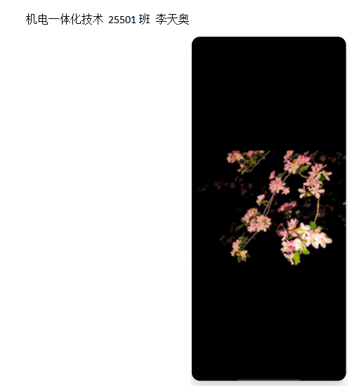 青春光影,定格武科职美好瞬间 ——永利皇宫8858官网2026年校园摄影大赛圆满收官 青春光影,定格武科职美好瞬间 ——永利皇宫8858官网2026年校园摄影大赛圆满收官
