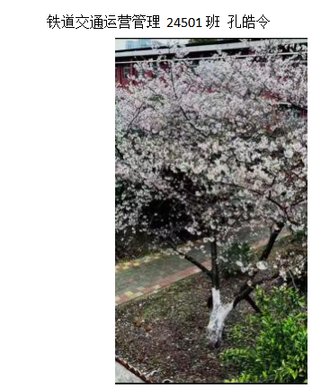 青春光影,定格武科职美好瞬间 ——永利皇宫8858官网2026年校园摄影大赛圆满收官 青春光影,定格武科职美好瞬间 ——永利皇宫8858官网2026年校园摄影大赛圆满收官