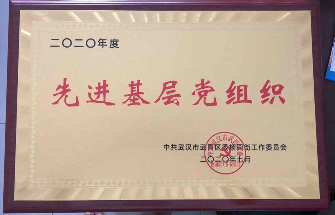 永利官网党委荣获2020年度先进基层党组织